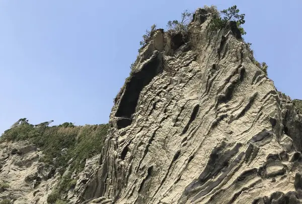 盗人狩の写真・動画_image_307176