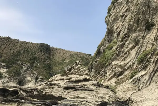 盗人狩の写真・動画_image_307177
