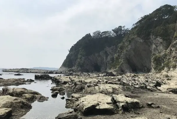 盗人狩の写真・動画_image_307184