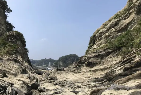 盗人狩の写真・動画_image_307189