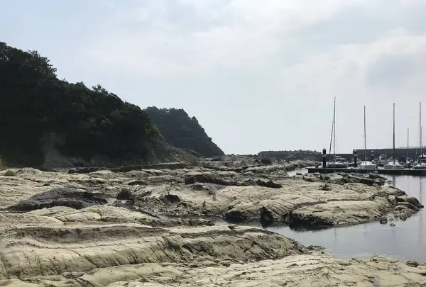 盗人狩の写真・動画_image_307190
