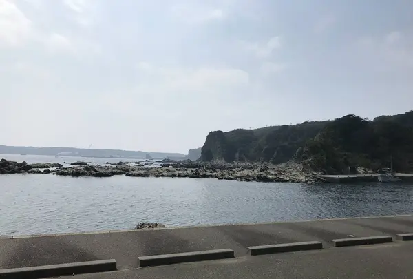 盗人狩の写真・動画_image_307191