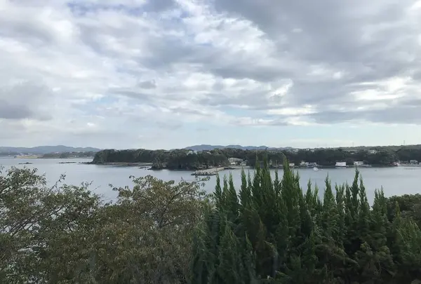 三崎の写真・動画_image_307202