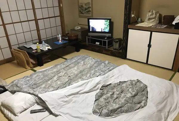 三崎の写真・動画_image_307205