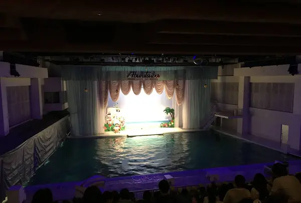 【閉業】京急油壺マリンパークの写真・動画_image_307217