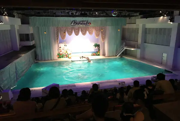 【閉業】京急油壺マリンパークの写真・動画_image_307219