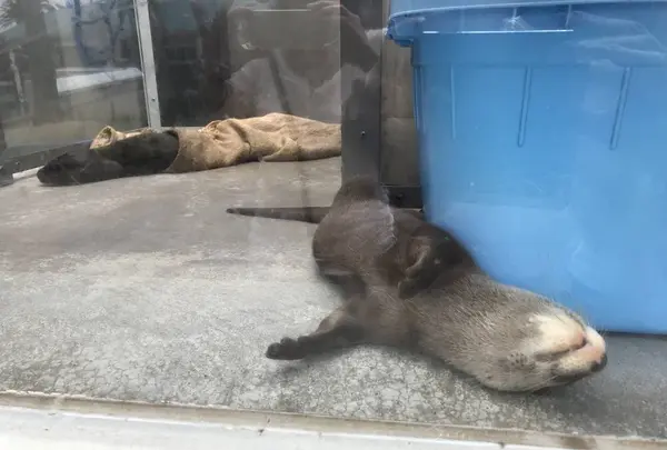 【閉業】京急油壺マリンパークの写真・動画_image_307230