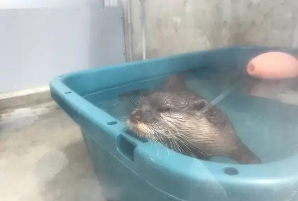 【閉業】京急油壺マリンパークの写真・動画_image_307231