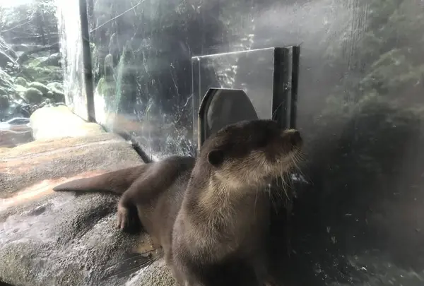 【閉業】京急油壺マリンパークの写真・動画_image_307234