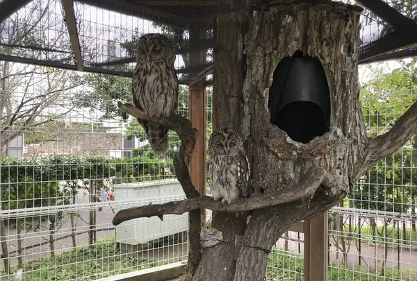 【閉業】京急油壺マリンパークの写真・動画_image_307241