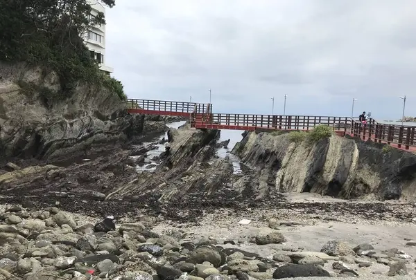 城ケ島の写真・動画_image_307249