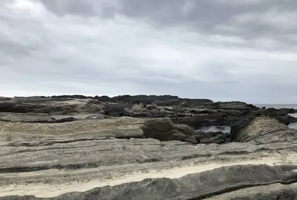 城ケ島の写真・動画_image_307257