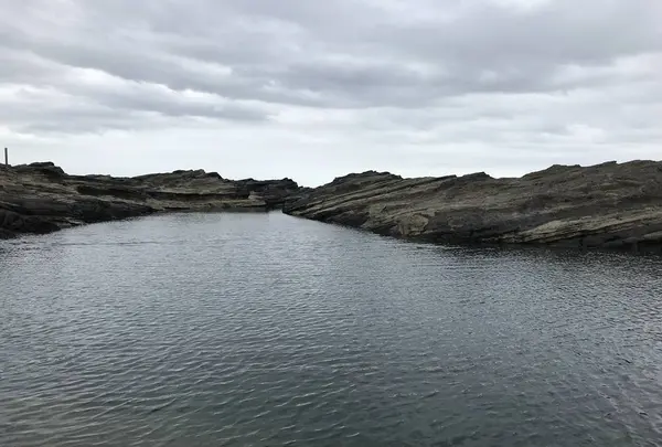 城ケ島の写真・動画_image_307258