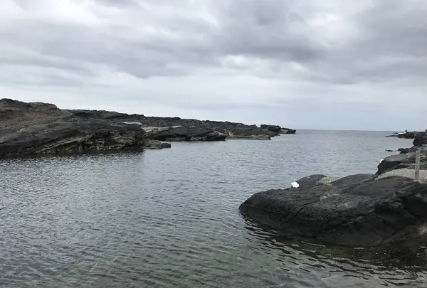 城ケ島の写真・動画_image_307259