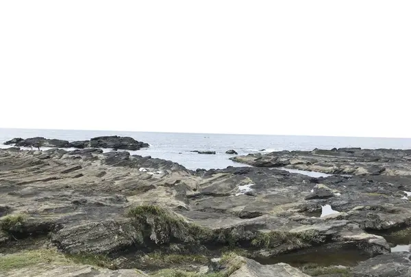 城ケ島の写真・動画_image_307260