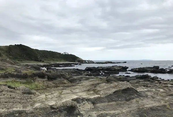 城ケ島の写真・動画_image_307261