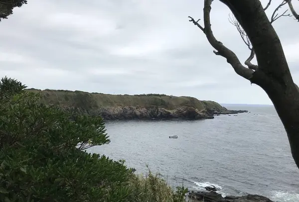 城ケ島の写真・動画_image_307269