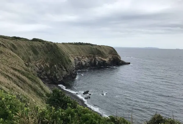 城ケ島の写真・動画_image_307270