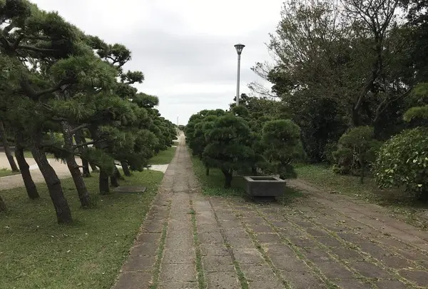 城ケ島の写真・動画_image_307271