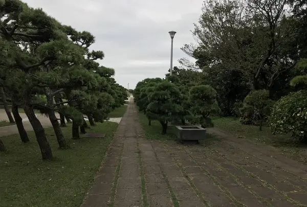 城ケ島の写真・動画_image_307272