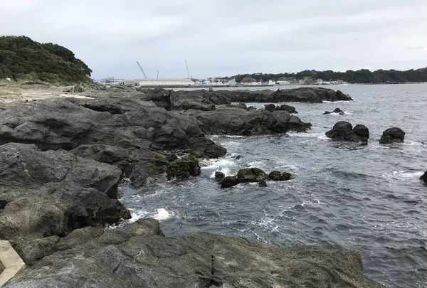 城ケ島の写真・動画_image_307275