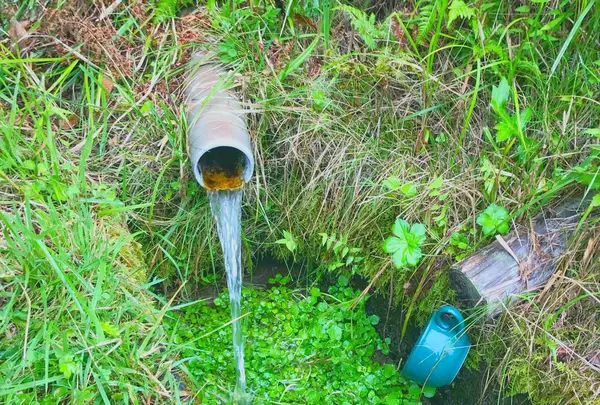 行司ヶ滝の写真・動画_image_307364