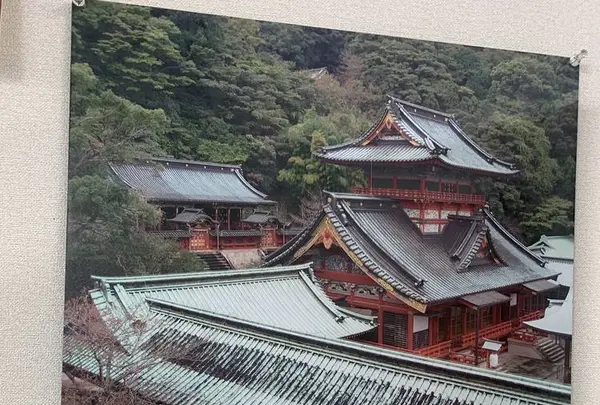 静岡浅間神社の写真・動画_image_307481