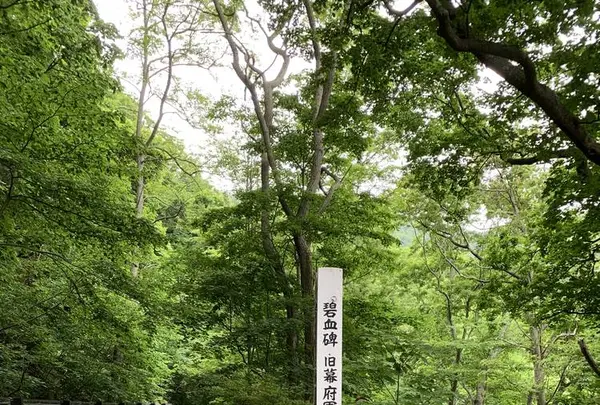 碧血碑の写真・動画_image_308422