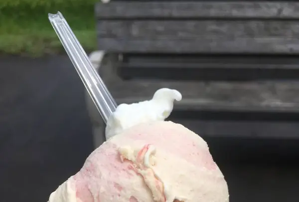 マルガージェラート 能登本店の写真・動画_image_308529