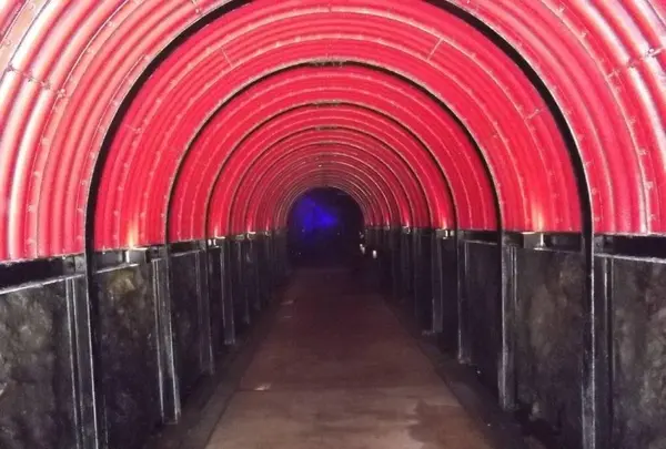 聖域の岬 青の洞窟の写真・動画_image_308540