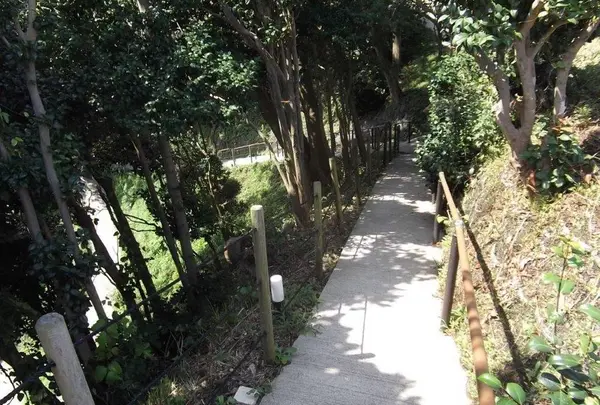 聖域の岬 青の洞窟の写真・動画_image_308542