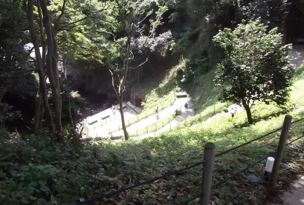 聖域の岬 青の洞窟の写真・動画_image_308544