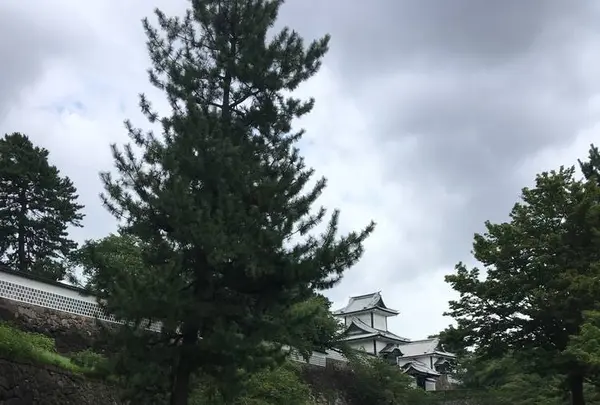 金沢城・兼六園の写真・動画_image_308560