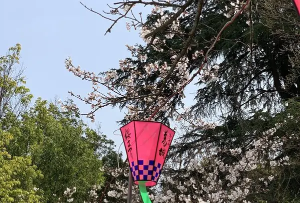 道後公園の写真・動画_image_308606