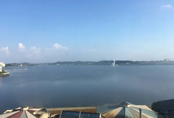 片山津温泉の写真・動画_image_308681