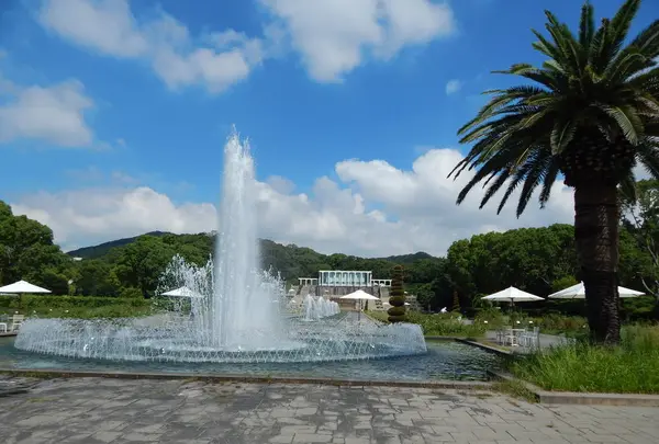神戸市立須磨離宮公園の写真・動画_image_308773