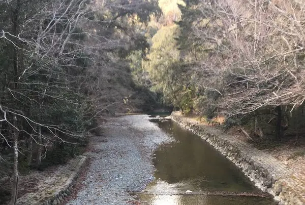伊勢神宮の写真・動画_image_308856