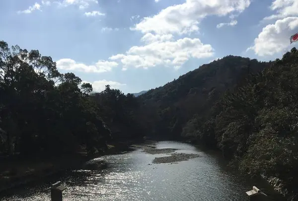 伊勢神宮の写真・動画_image_308859
