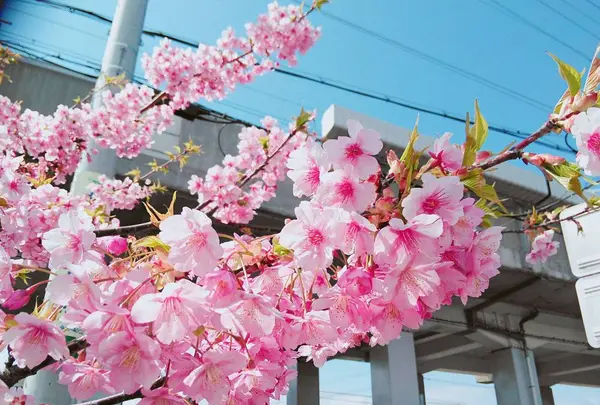 茨木酒造合名会社の写真・動画_image_309006