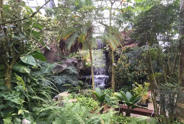 園内にある熱帯植物館②