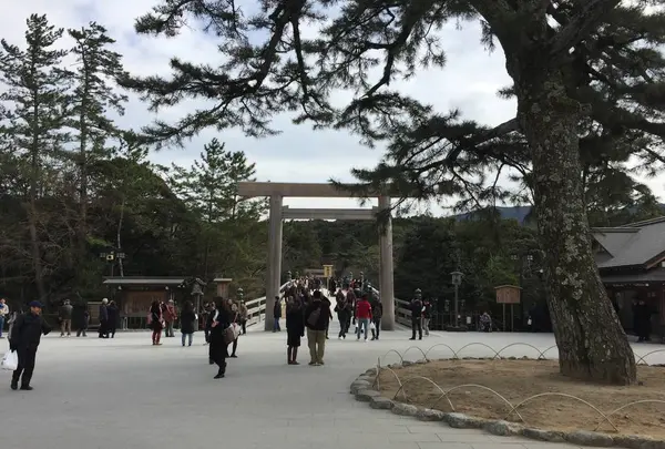伊勢神宮外宮（豊受大神宮）の写真・動画_image_309114
