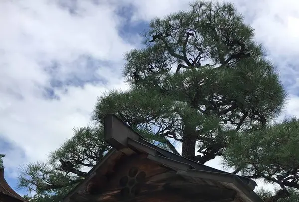 北野天満宮の写真・動画_image_309184