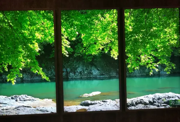 変なホテル 京都 八条口駅前の写真・動画_image_309240