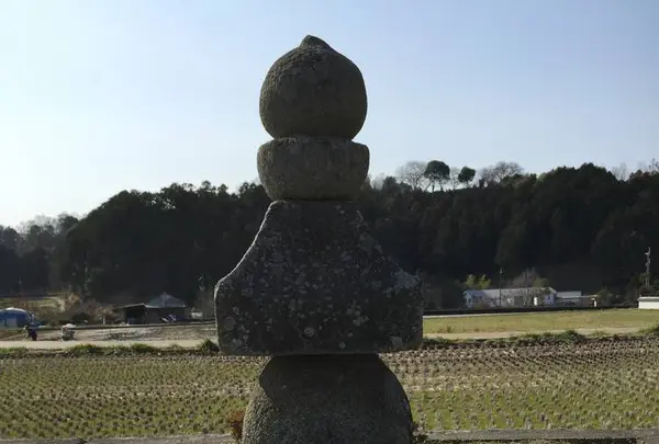 蘇我入鹿首塚の写真・動画_image_309461