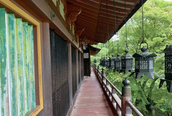 談山神社の写真・動画_image_309468