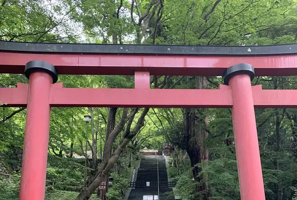 談山神社の写真・動画_image_309470