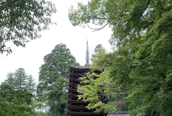 談山神社の写真・動画_image_309472