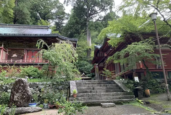 談山神社の写真・動画_image_309473