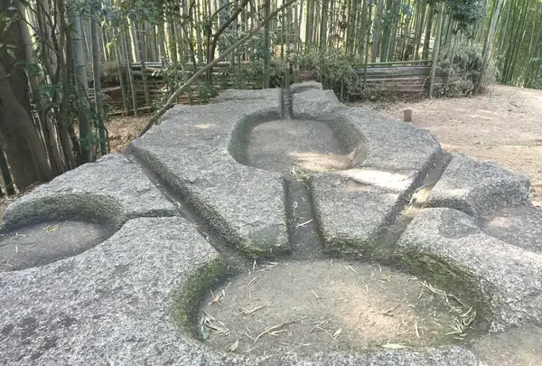 酒船石の写真・動画_image_309478