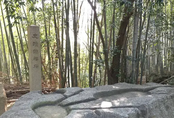酒船石の写真・動画_image_309480